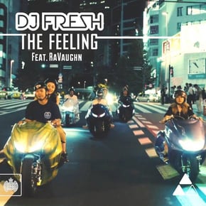 The Feeling (feat. RaVaughn) by DJ Fresh Cover Art