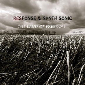 The Land Of Freedom by Digital, Response & Synth Sonic Cover Art