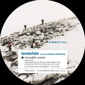 Incurable Voices by Landslide Cover Art