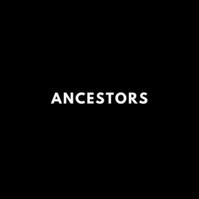 Ancestors (Radio Edit) by Muffler Cover Art
