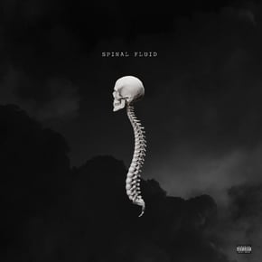 Spinal fluid by Mr Traumatik & Coco Dubz Cover Art