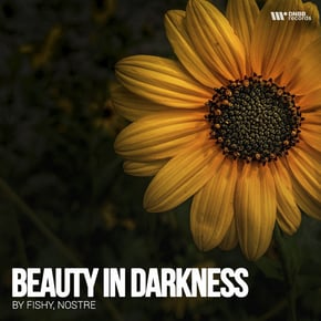 Beauty Darkness by Nostre & Fishy Cover Art