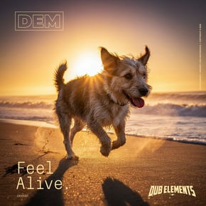 Feel Alive by Dub Elements Cover Art