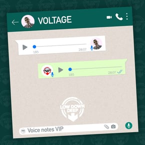Voice Notes VIP by Voltage Cover Art