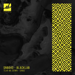 Tear Me Down / Singe by Blacklab Cover Art
