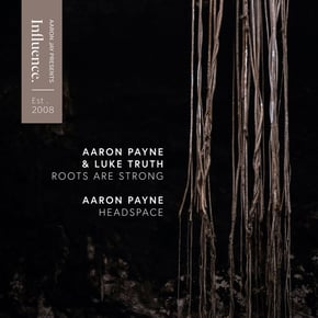 Roots Are Strong / Headspace by Aaron Payne Cover Art