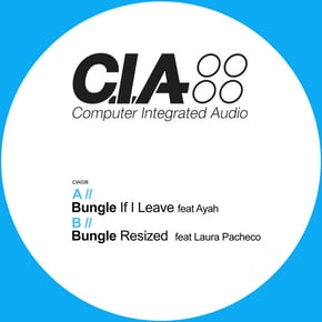 If I Leave / Resized (G Dub Remix) by Bungle Cover Art