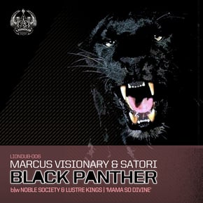 Black Panther by Marcus Visionary Cover Art