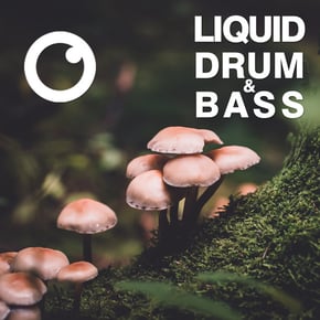 Liquid Drum & Bass Sessions 2020 Vol 31 : The Mix by Dreazz Cover Art