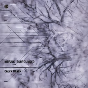 Surrounded (Calyx Remix) by Mefjus & Calyx Cover Art