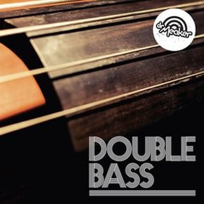 Double Bass by Dr Meaker Cover Art