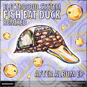Fish Eat Duck Remixed After Album EP by Electrosoul System Cover Art