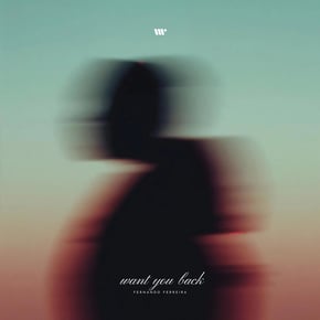 Want You Back by Fernando Ferreira Cover Art