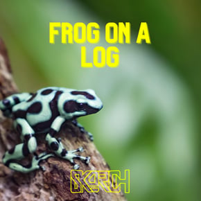 Frog on a Log by Skorch Cover Art