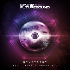 Hindsight (M&F's Hybrid Jungle Mix) by Matrix & Futurebound Cover Art