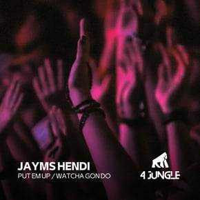 Put em Up / Watcha Gon Do by Jayms Hendi Cover Art