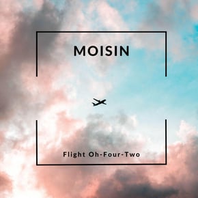 Flight Oh Four Two by Moisinn Cover Art