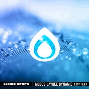 Lost Files by MSDOS, Dynamic & Jaybee Cover Art