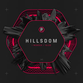 I Wonder / Igloo by Hillsdom Cover Art
