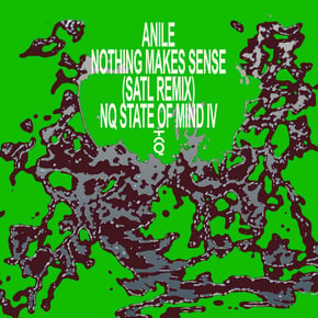 Nothing Makes Sense (Satl Remix) by Anile & Satl Cover Art