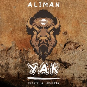 Yak / Rockin' & Groovin' by Aliman Cover Art