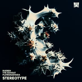 Stereotype by Rueben, Tyr Kohout & flowanastasia Cover Art