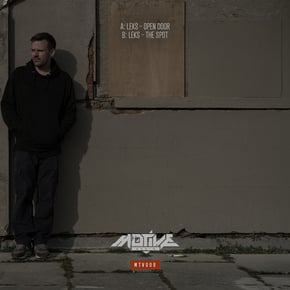 Open door / The spot by Leks Cover Art