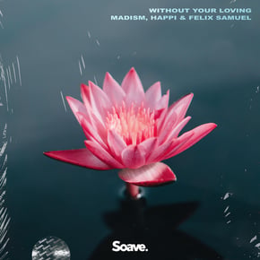 Without Your Loving by Vibe Chemistry, Madism, Happi & Felix Samuel Cover Art