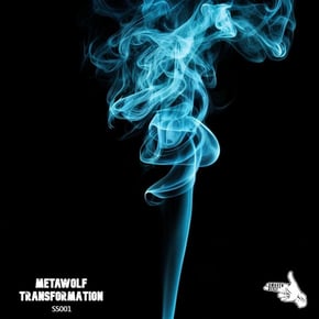 Transformation by Metawolf Cover Art