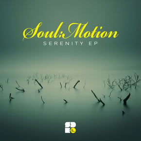 Serenity by Soulmotion Cover Art