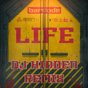 Life (DJ Hidden Remix) by Donny & DJ Hidden Cover Art