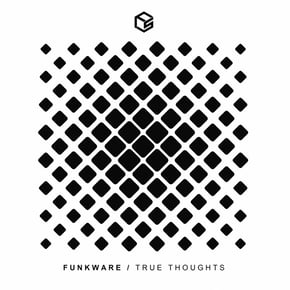 True Thoughts by Funkware Cover Art