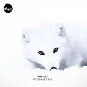 Wasting Time by goddard. & Whiney Cover Art
