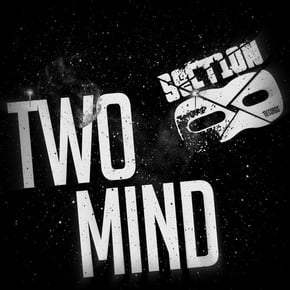 True Ninja VIP / Twitch by Two Mind Cover Art