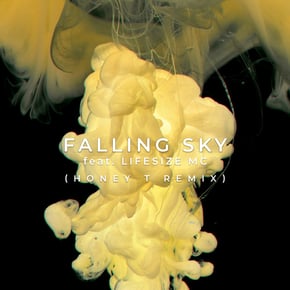 Falling Sky feat. Lifesize MC Honey T Remix by Ripple Cover Art