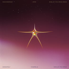 Star (Shelley FKA DRAM Remix) by Machinedrum & Tanerélle Cover Art