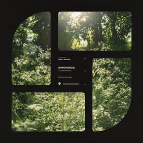 Paper Birds by Ekko & Sidetrack & Ruth Royall Cover Art