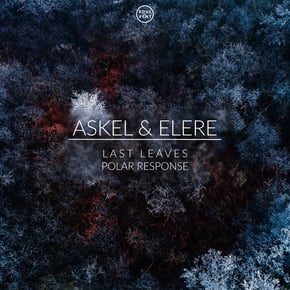 Last Leaves by Askel & Elere Cover Art