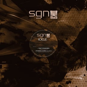Time to Remember / Running Scared by Icicle Cover Art
