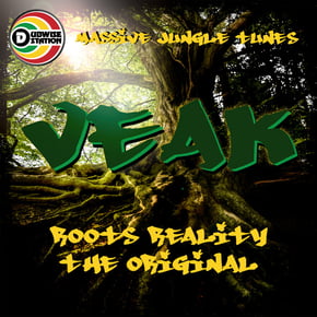 Roots reality by Veak Cover Art