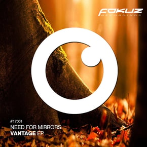 Vantage EP by Need For Mirrors Cover Art