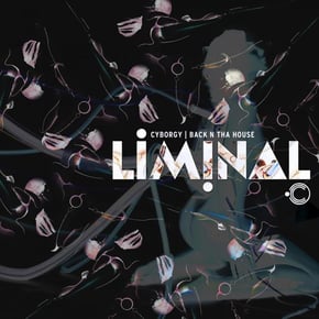 Cyborgy / Back N Tha House by Liminal Cover Art