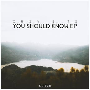 You Should Know by TS Cover Art
