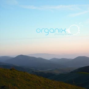Photosynthesis by Organix Cover Art