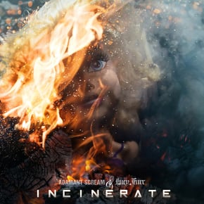Incinerate by Lucy Furr Cover Art