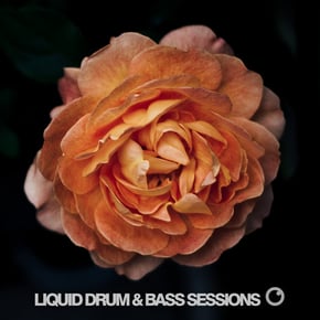 Liquid Drum & Bass Sessions 2019 Vol 4 by Dreazz Cover Art