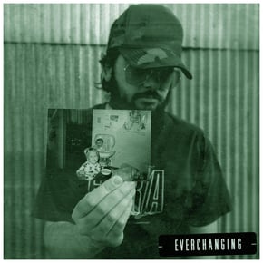 Everchanging by Saltee Cover Art