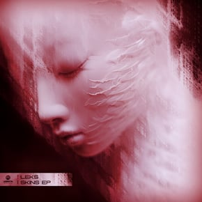 Skins EP by Leks Cover Art