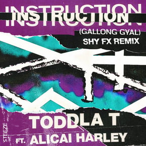 Instruction (Gallong Gal) [Shy FX Remix] by SHY FX Cover Art