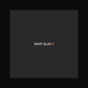 Whip Slap ll by Dimension Cover Art